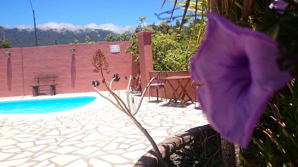 Casitas La Montanita Pensionat El Paso Eksteriør billede