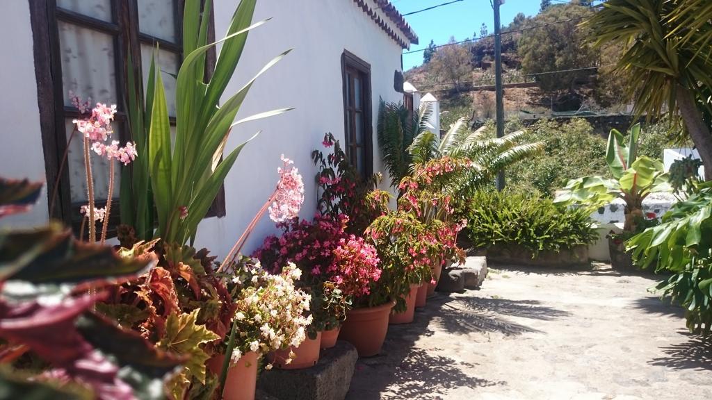 Casitas La Montanita Pensionat El Paso Eksteriør billede